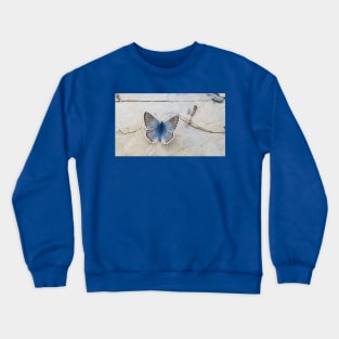 Blue butterfly Crewneck Sweatshirt